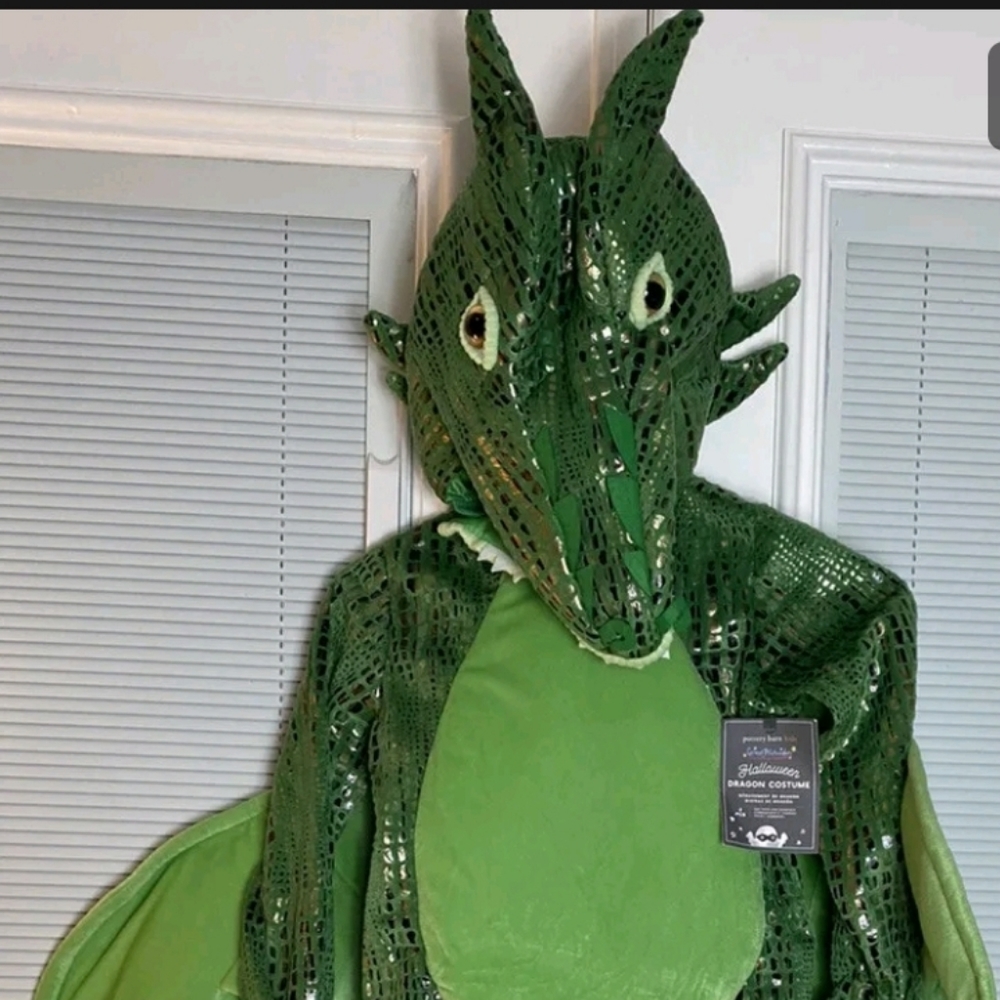 Pottery Barn Kids Costume size 4-6